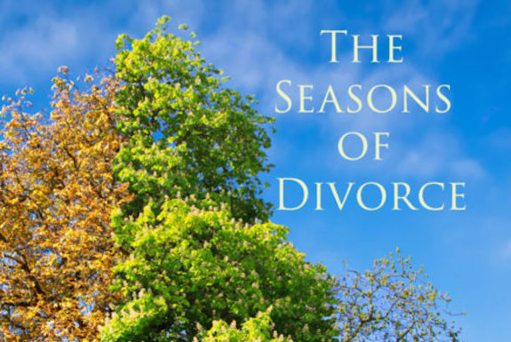 The Seasons of Divorce Book Cover